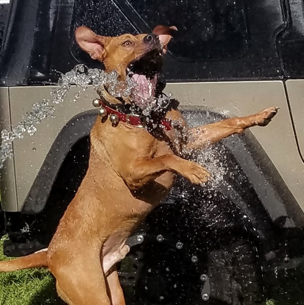 Why did it take so long to wash the jeep?